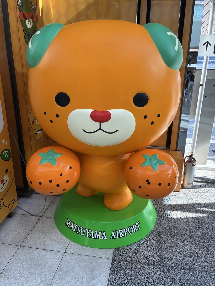naok1_1's tweet photo. 来ました https://t.co/EdWwaJxlF5