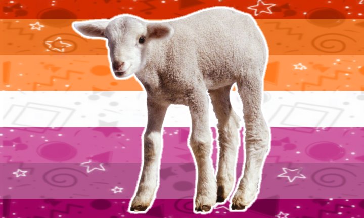 vannybutch's tweet photo. Lesbian Lamb Flags!
Requested by Strawpage Anon 💌 https://t.co/CWbFJp3h9r