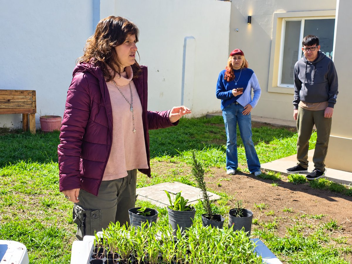 Val_Fabian's tweet photo. 🌱Hogar Solar del Rosario

Hoy comenzamos un nuevo espacio de huerta, y qué lindo es cuando una huerta🌱 nace de muchas manos, de encuentros y de ganas de compartir. 

Trasplantamos lechuga, tomate🍅, romero y caléndula🌼, poniendo las manos en la tierra y dejando sembrado mucho más que plantines.

Porque la huerta también es terapia, compañía, inclusión y encuentro. Es aprender, compartir, esperar, cuidar y disfrutar de cada pequeño brote.
Y también es huerta + cocina: producir nuestros propios alimentos, conocer de dónde vienen y llevarlos después a la mesa. 🥬🍅🌿🌼

Gracias al Hogar Solar del Rosario por abrirnos las puertas, por el regalito que nos tenian preparado y por animarse a construir juntos este nuevo espacio.🙌

Desde #HuertasDeLaCiudad🍅🥦🌼 del @MunicipioBahia seguimos llevando la huerta a cada barrio e institución, porque cuando hay tierra, hay posibilidades… y cuando hay comunidad, todo crece.❤️🌱