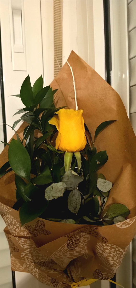 ayfisio's tweet photo. Es cierto que se marchitan, pero la ALEGRÍA de recibirlas dura toda la vida. Es que no son las flores simplemente, es quien te las regala...
Amote 🐻 @josecatapum
#floresamarillas #FlowerPhotography https://t.co/O5ApP9bgb6