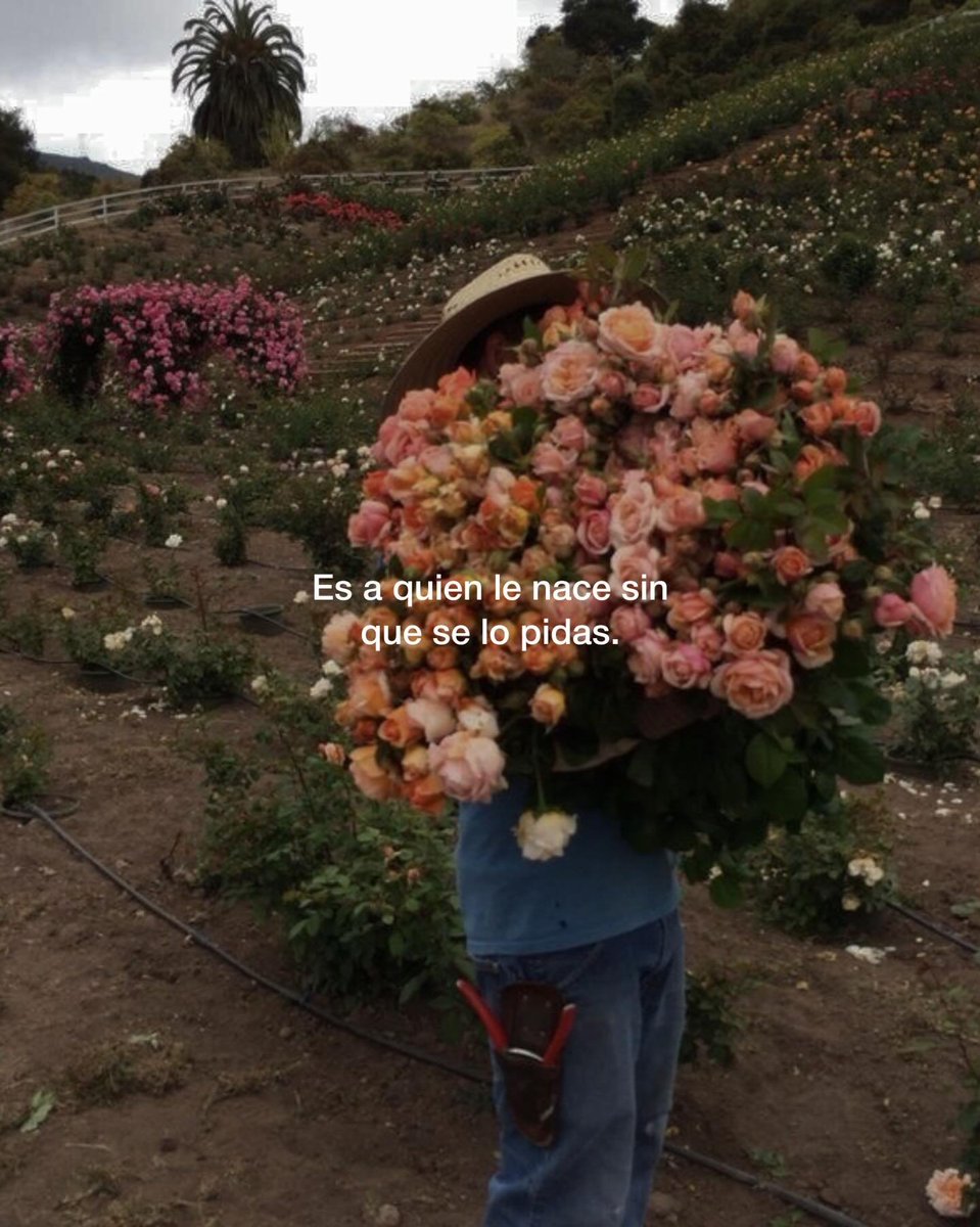 I_Bubulubuena's tweet photo. 🌷 https://t.co/7eudrDfHKO