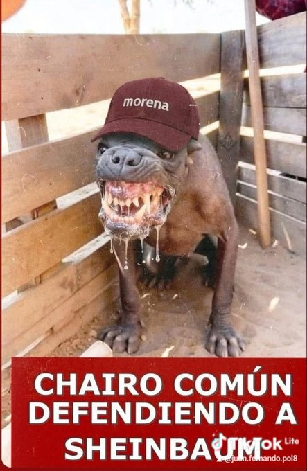 xoel505's tweet photo. @Angeles49830504 @YouTube @ClaraBrugadaM @AnitaLomeli @craviotocesar https://t.co/UXnZOC1K4f
