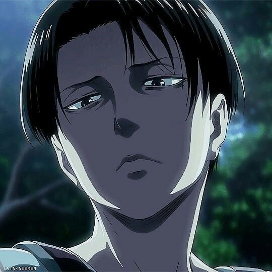 mimi_diamond59's tweet photo. FOREVER BE MY KING LEVI ACKERMAN... https://t.co/kChFuNKR1P