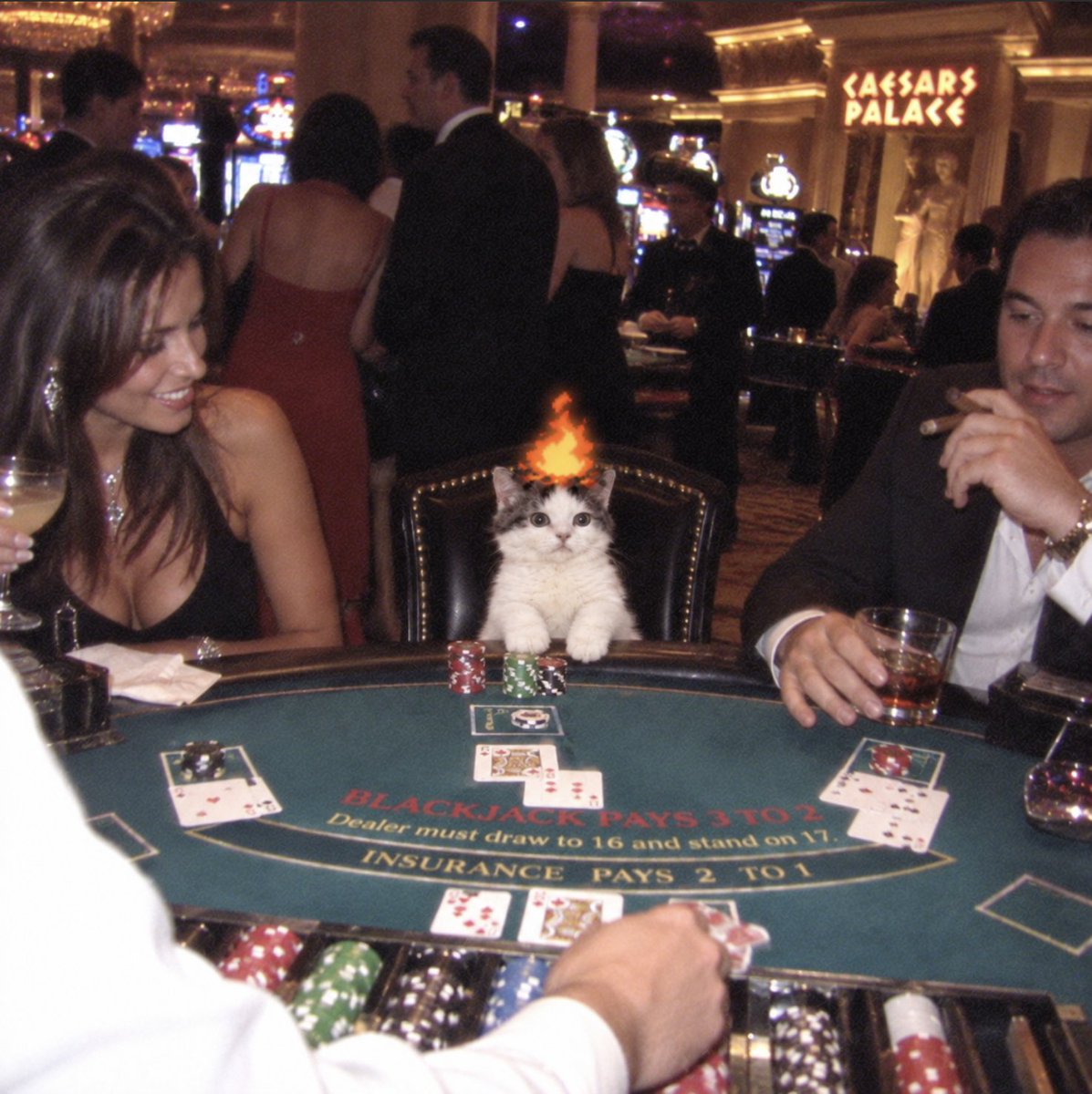 PyrocatBURN's tweet photo. There's only room for one $LIT pair at the table. https://t.co/2gJvs4e6yt