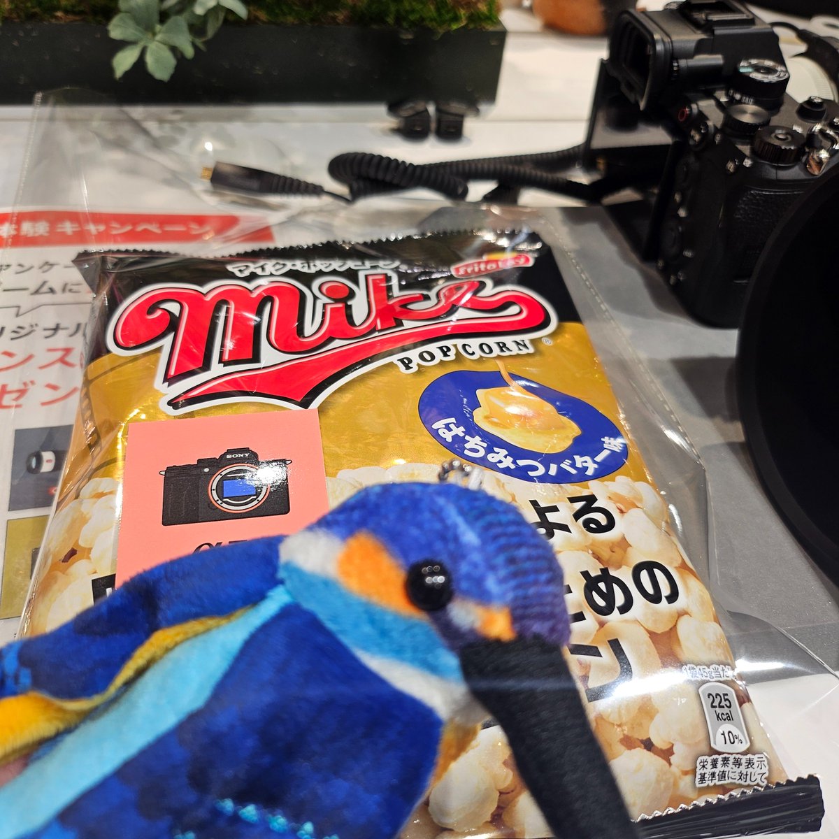 RoSunta's tweet photo. おつ鳥様です
SONYストアで10月9日発売の400mm F4.5GMと600mm F6.3GMを体験しました
どちらも1kg未満の軽さで、手持ち超望遠の常識が更新されそうです📸 最後にポップコーンとα7Vステッカーをいただきました
#SEL400F45GM
#SEL600F63GM
#SonyGMaster https://t.co/FFcxBaRZng