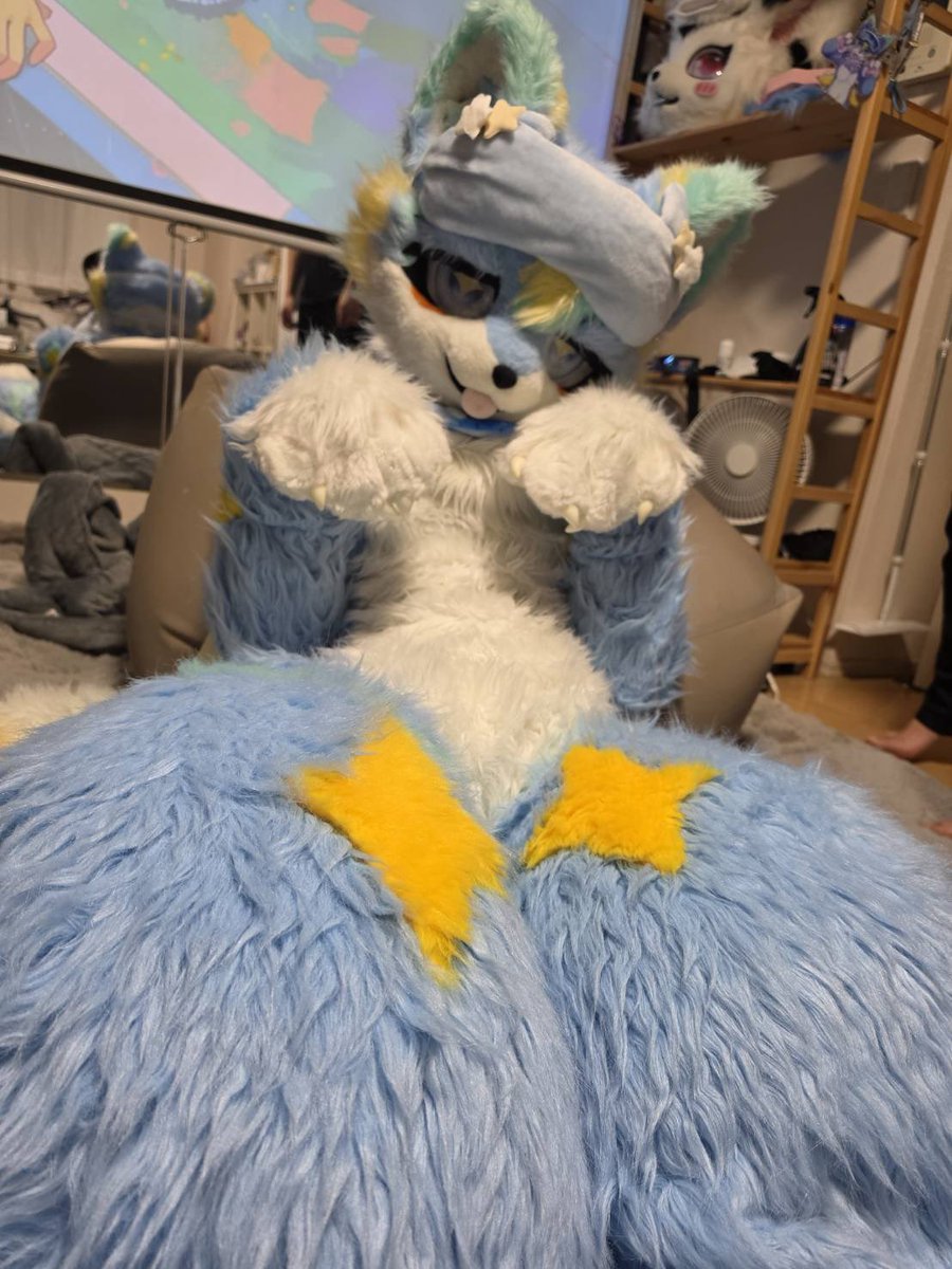 mofulu_lumina's tweet photo. おハぎゃう？🩵
#fursuitmorning https://t.co/6TipljhSdd