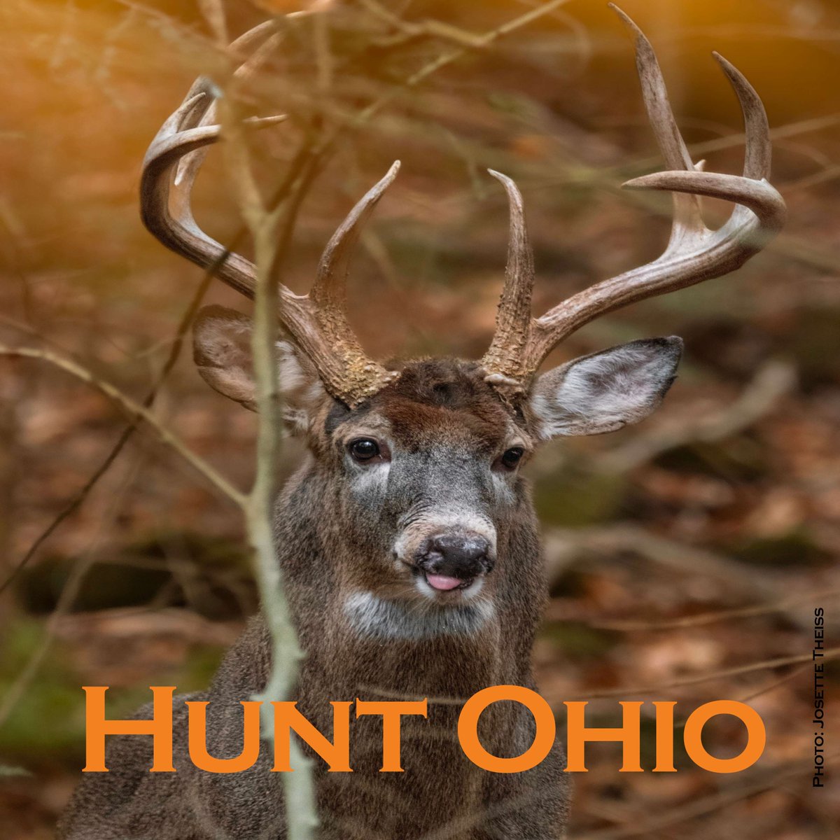 OhioDivWildlife's tweet photo. 📲 Buy your deer hunting license and permits through https://t.co/c2xQN6fPzG or with the HuntFish OH mobile app. 🦌
🔗 https://t.co/LaFZGR9zww https://t.co/lrckp6xg8e