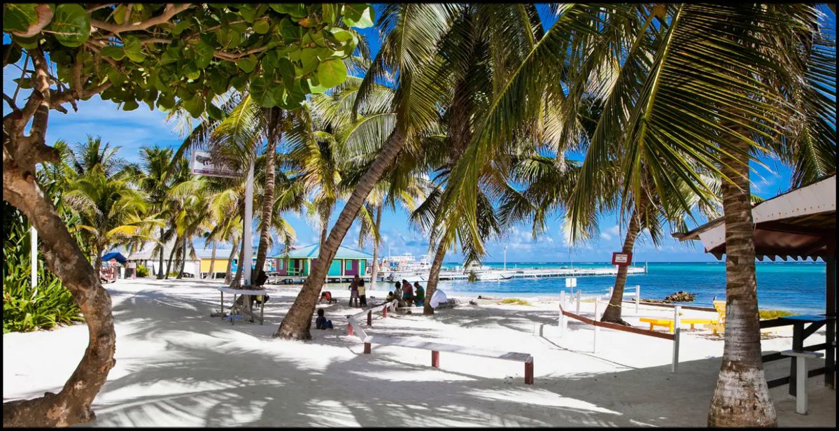 itcof_travel's tweet photo. Belize/Ambergris Caye 4 nights with Air (MIA) Transfers Tour from $2316 pp
Request a Quote https://t.co/eGIjK6WGY3
#itcoftravel #traveldeals #EndlessPossibilities #AdventureAwaits
#ultimatevacations #LuxuryVacations #CustomFamilyVacation #BudgetFriendlyVacations #creatingmemories https://t.co/M36lMznoNw
