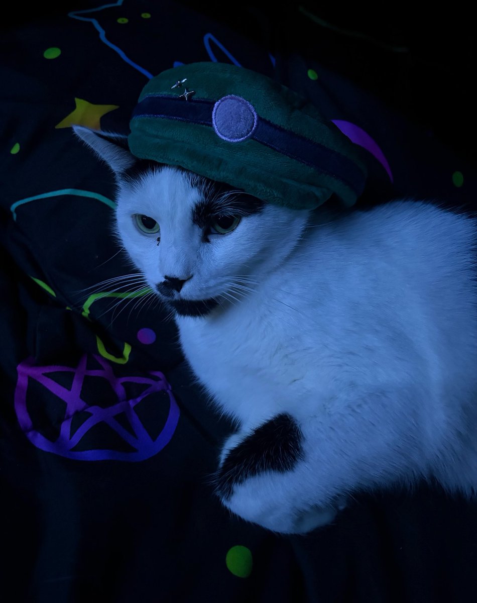 plasma_pixelz's tweet photo. he’s looking for the boss https://t.co/zycOWwrIai