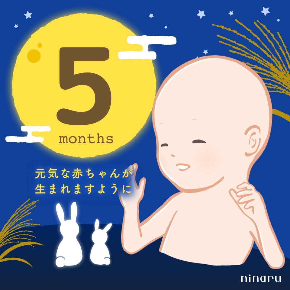 onp22__'s tweet photo. 今日で16wだよ〜！ https://t.co/TI64o2J615