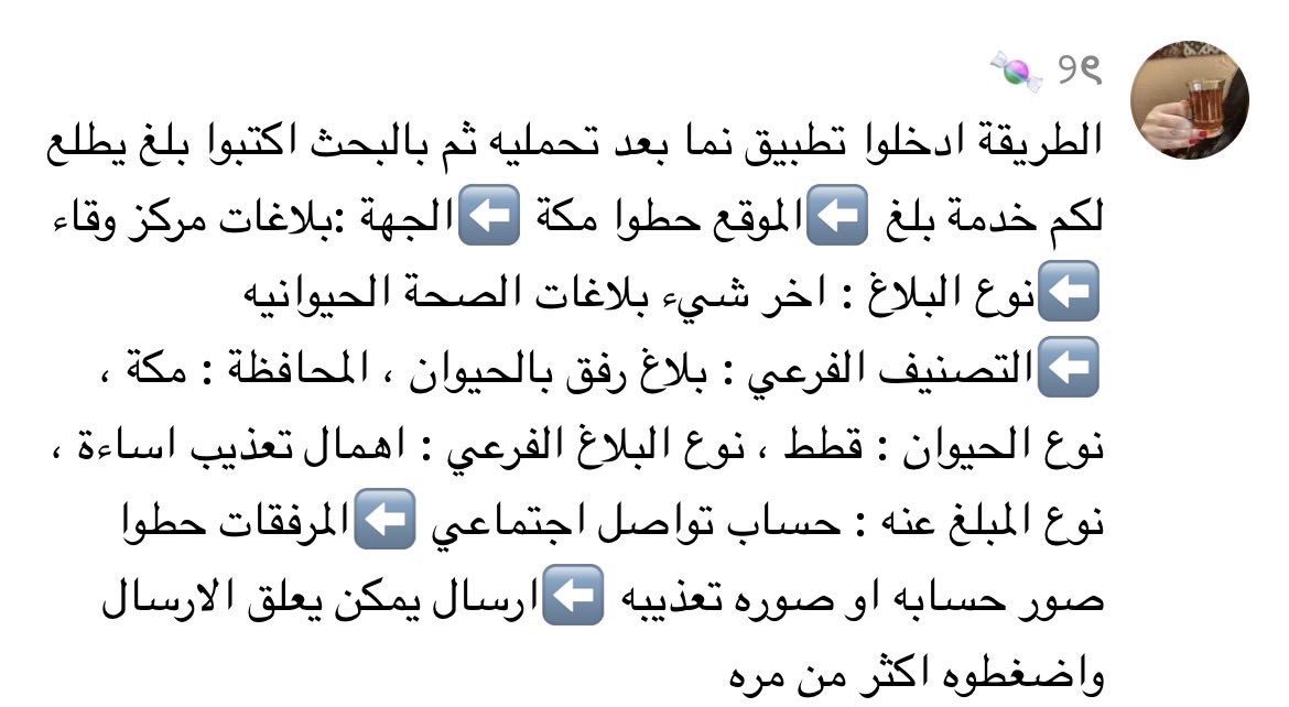 hotlillith's tweet photo. كلكم بلغوا مارح ياخذ خمس دقايق من وقتكم
#بنقالي_يعذ��_القطط_في_السعودية 
#بنقالي_يعذب_القطط_في_السعودية https://t.co/rGFgzvXMcH