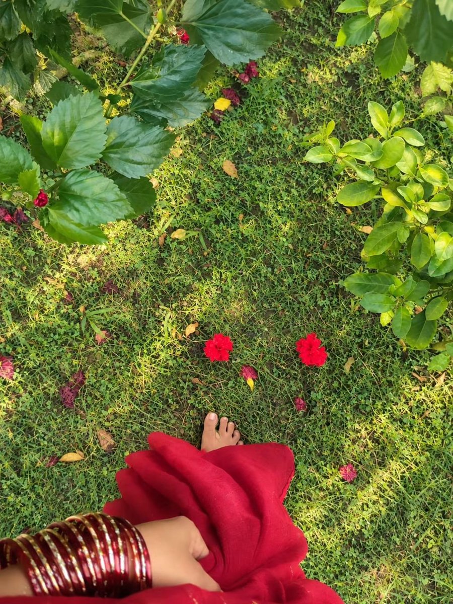 Hayatrose0's tweet photo. Good Morning 🌷
May your day begin with peace, happiness, and countless reasons to smile. Have a beautiful day ahead! ☀️✨ https://t.co/gQNMRJipNb