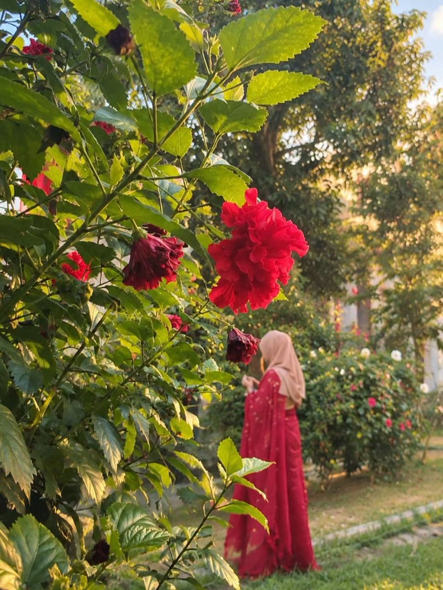 Hayatrose0's tweet photo. Good Morning 🌷
May your day begin with peace, happiness, and countless reasons to smile. Have a beautiful day ahead! ☀️✨ https://t.co/gQNMRJipNb