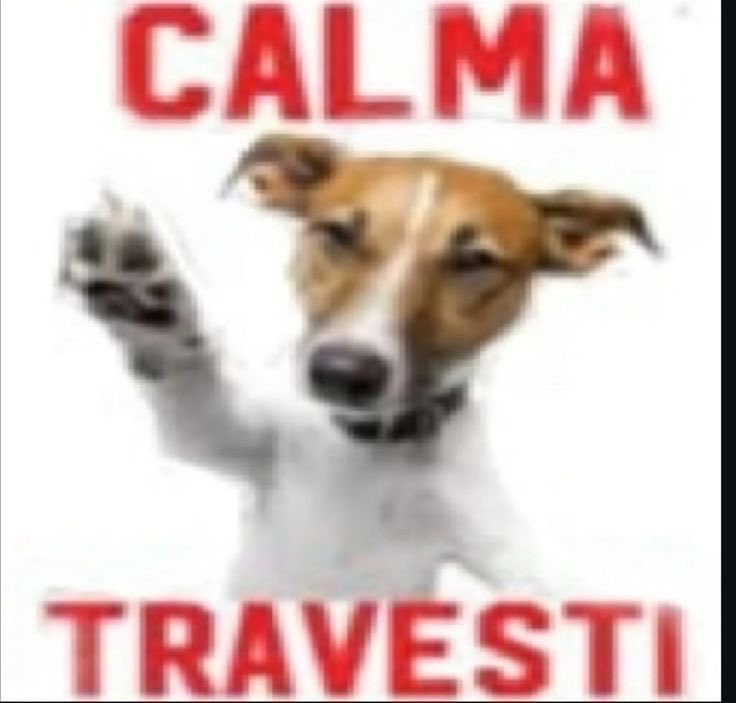 rkive_efy's tweet photo. Malditos fifas inservibles, tenés el puto estadio todo el maldito año y nos vas a venir a chingar por 20 fucking días, joda el descaro no tiene cara.
Así que una cosa le pido: https://t.co/6GKzwJphaR