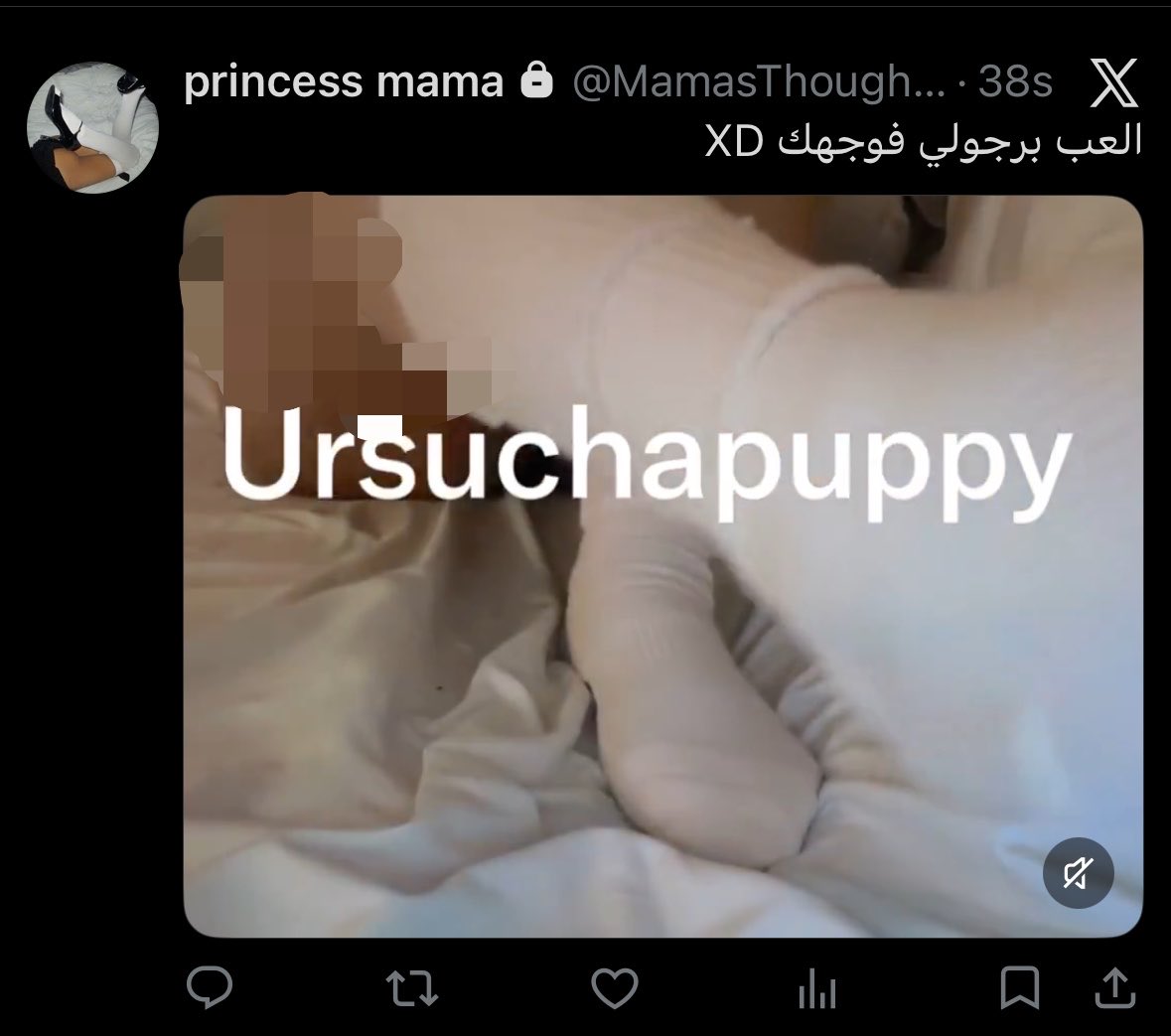 ursuchapuppy's tweet photo. احسدوا اللي فبرايفتي https://t.co/Y3SRZYSZbB