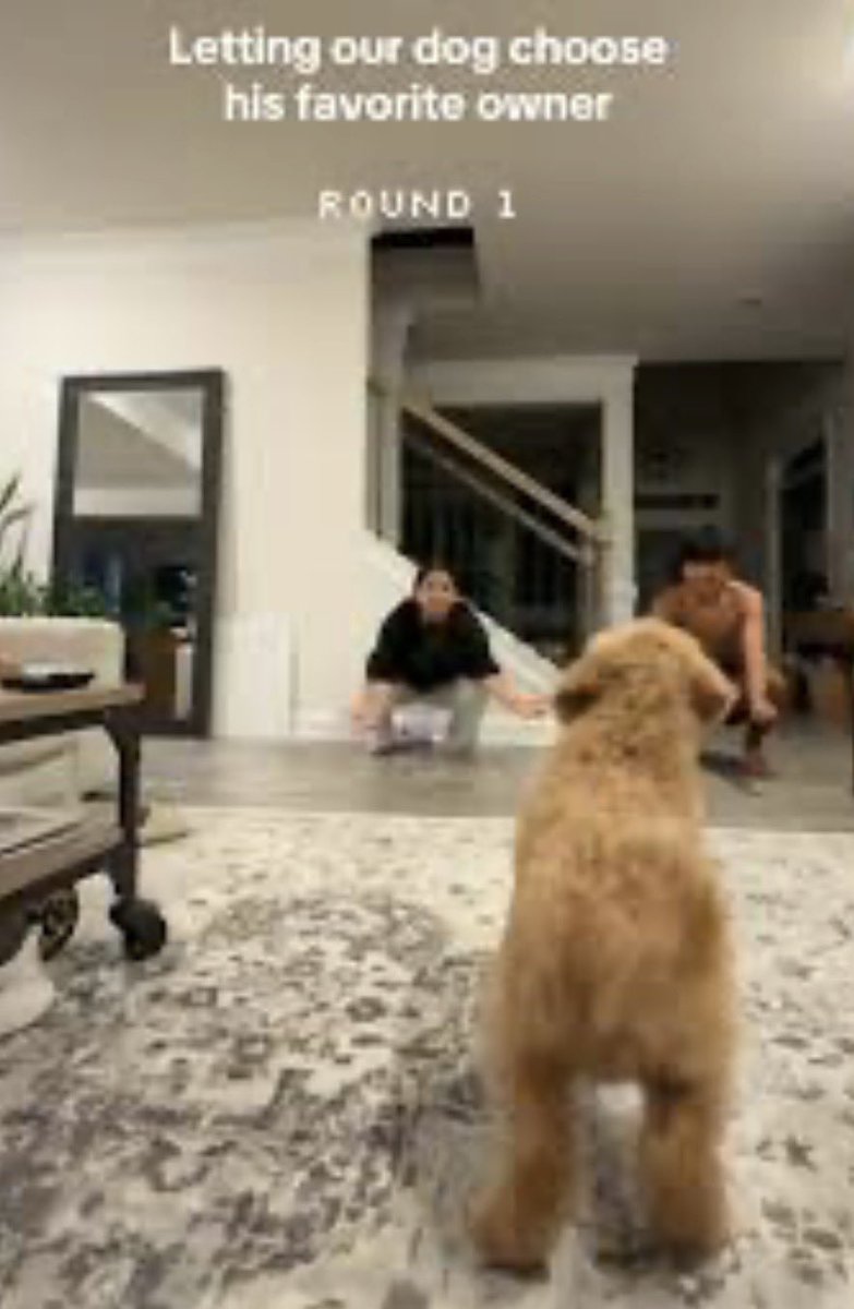 rbbq's tweet photo. Thursday’s Episode #BB28 https://t.co/BdBdRpU57L