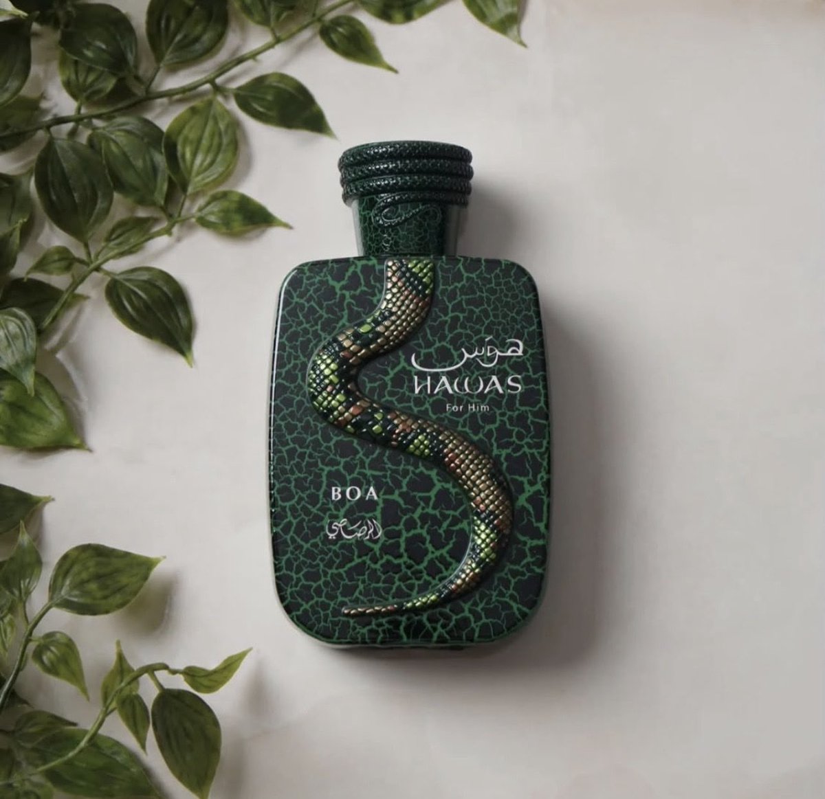 Mudimabiriani's tweet photo. BOA 

Hawas Perfume Available ✅

WhatsApp +255719068333 

Mudi in Dubai 🇦🇪 https://t.co/5GiQ0AnJ7D