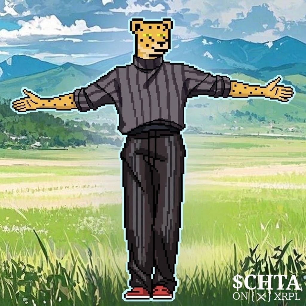 Diamond_Coded's tweet photo. @itsthatgigi $CHTA @Coded_Cheetahs https://t.co/4qOTrRoKkH