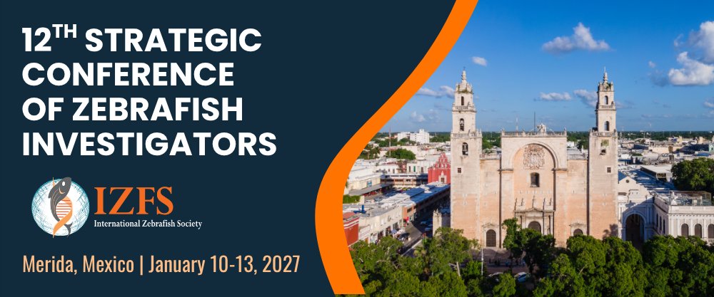 intlsocdiff's tweet photo. Don't miss your chance to attend SCZI 2027 with support from ISD. 5 fellowships are available for Early Investigators from countries with developing economies. Build your network, exchange ideas, and connect with peers in Mérida, Mexico, this January: https://t.co/Rx0nFAGxbL https://t.co/RFfuKx34j0