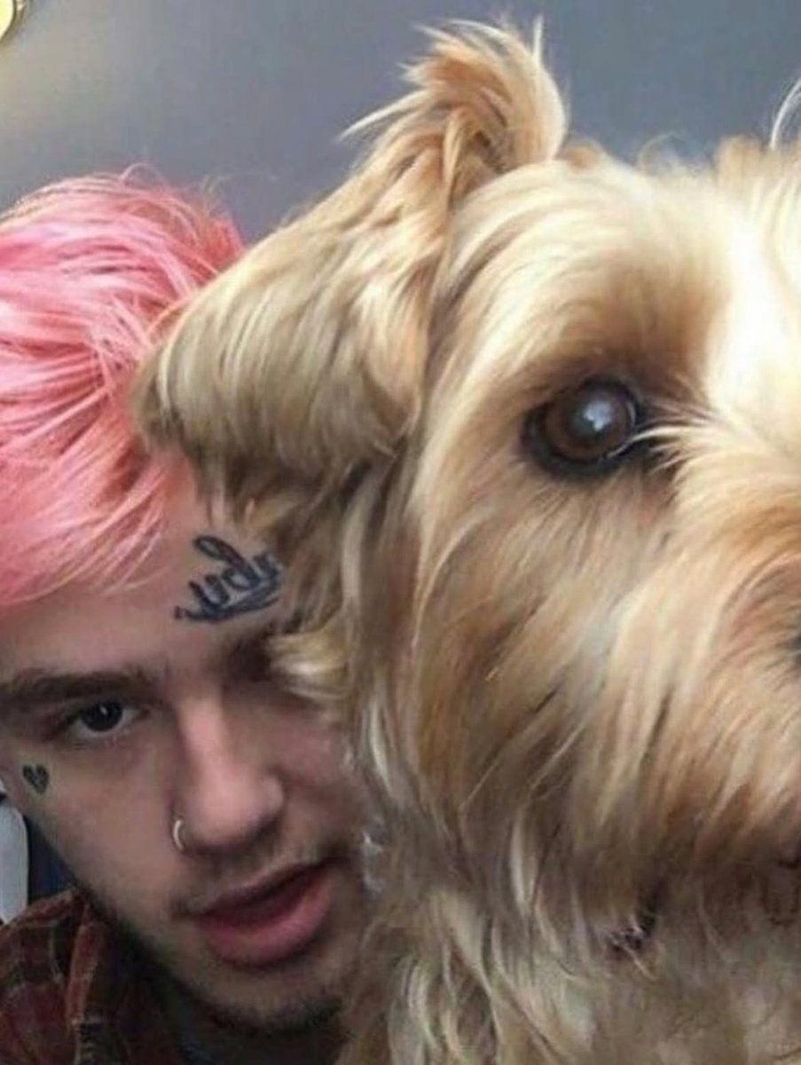 xGothAngell's tweet photo. Peep &amp; Taz♡ https://t.co/h9gtZrffgb