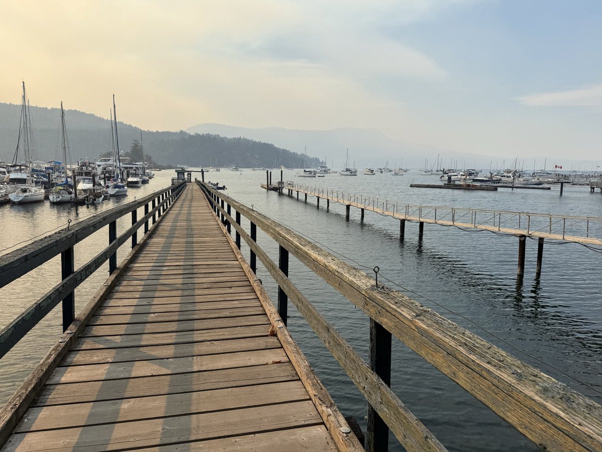katzpix's tweet photo. Crazy smoke rolls in quickly over Saanich inlet from the Mt Jack fire. #fire #smoke #bc #MtJack @GlobalBC @cbcnewsbc https://t.co/CWjruBC6Ys