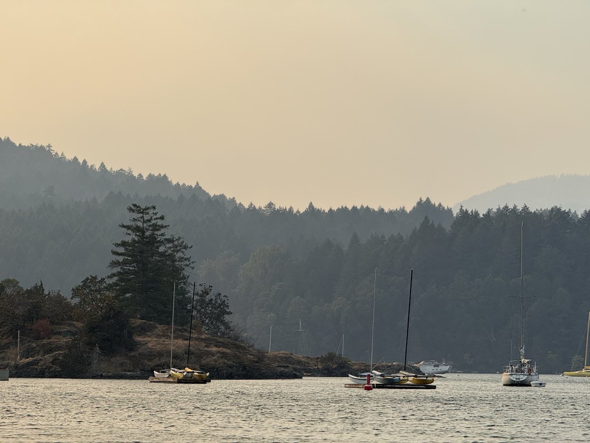 katzpix's tweet photo. Crazy smoke rolls in quickly over Saanich inlet from the Mt Jack fire. #fire #smoke #bc #MtJack @GlobalBC @cbcnewsbc https://t.co/CWjruBC6Ys