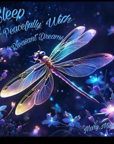 sarahward595's tweet photo. Good night everybody,
I wish you a wonderful evening full of rest, and a peaceful night with sweet dreams.
Until morning.
#WritingCommunity #tuesdaythoughts #eveningtime #goodnight https://t.co/1PHKwmRR0R