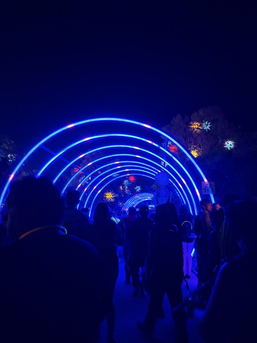 jose76581067's tweet photo. Had a fun time at nocturnal wonderland will be back next year #nocturnalwornderland2026 https://t.co/PpWZCeWUDQ