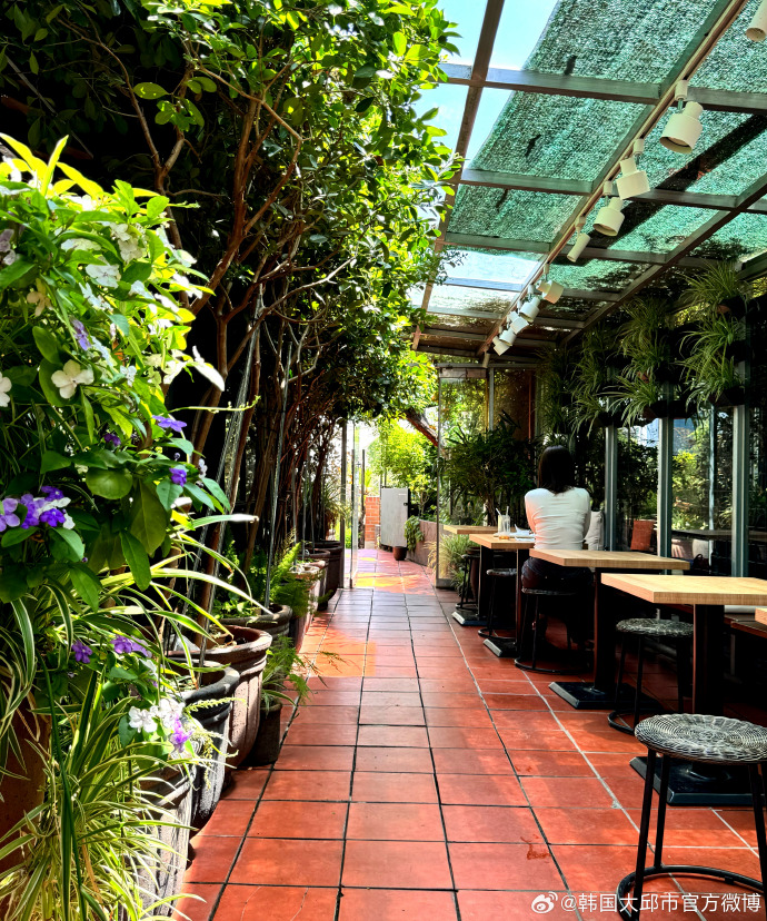 LeonorVollette's tweet photo. Just discovered the city’s secret rooftop garden café—sunshine, fresh herbs, and zero crowds make every sip feel like a tiny luxury , https://t.co/EYamXgL3EG