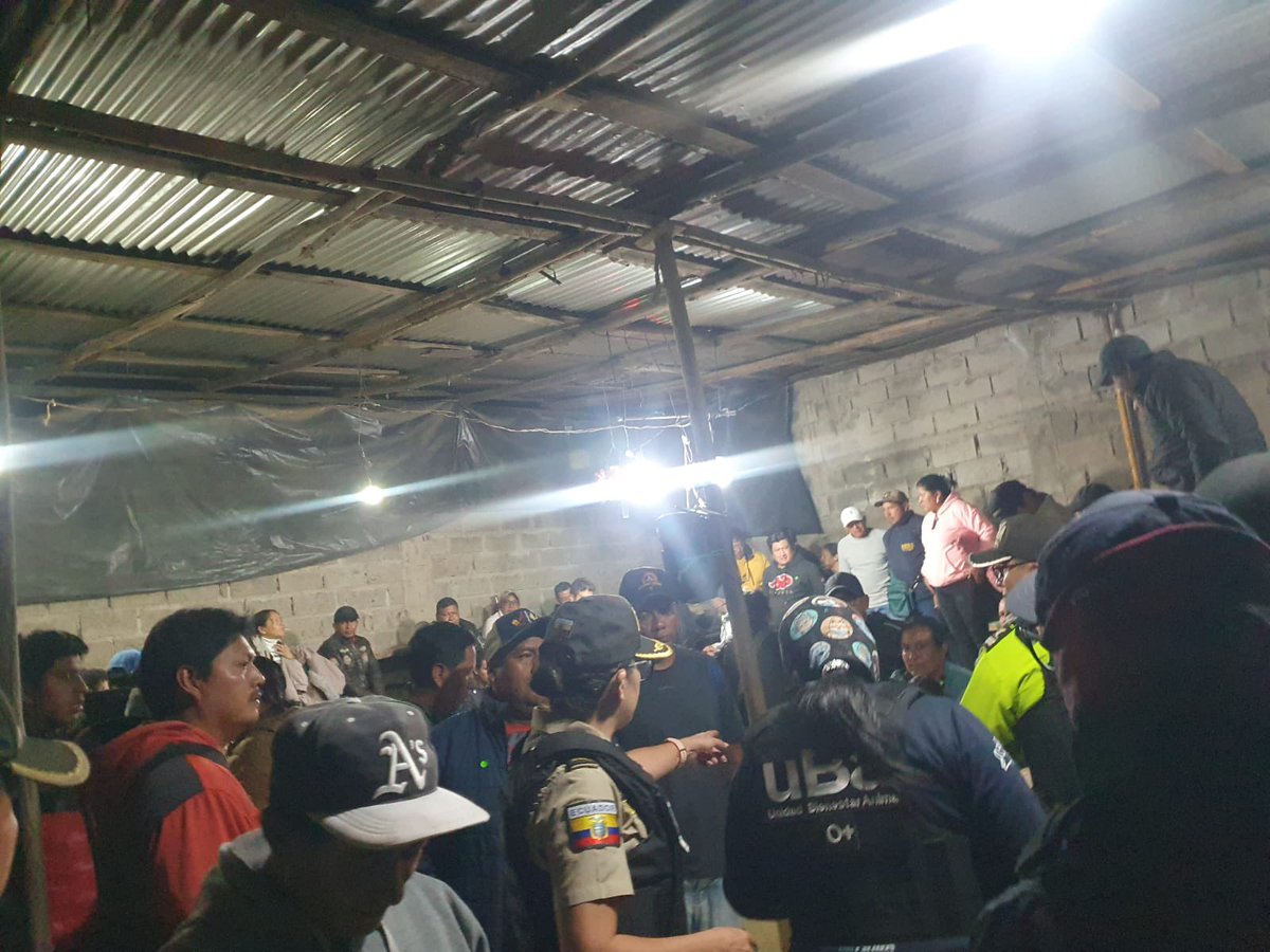 UBAQuito's tweet photo. 🫶🐾 #ControlEnQuito | Los animales no son entretenimiento. Las peleas de gallos también son una forma de violencia.

En 📍La Merced, realizamos un operativo interinstitucional, en atención a evento de peleas de animales (gallos). https://t.co/knx99GVsUn