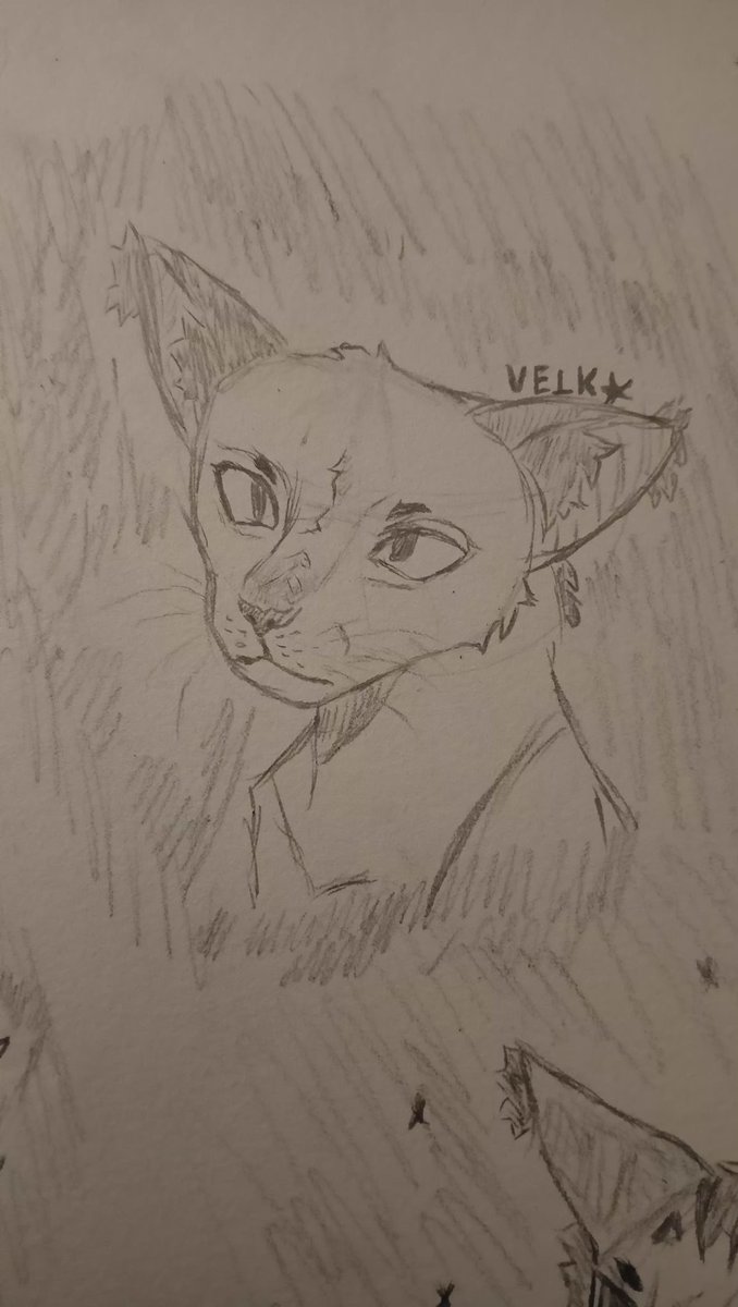 Velkrryn's tweet photo. Tried something new..? https://t.co/xeVN6OK4Fb