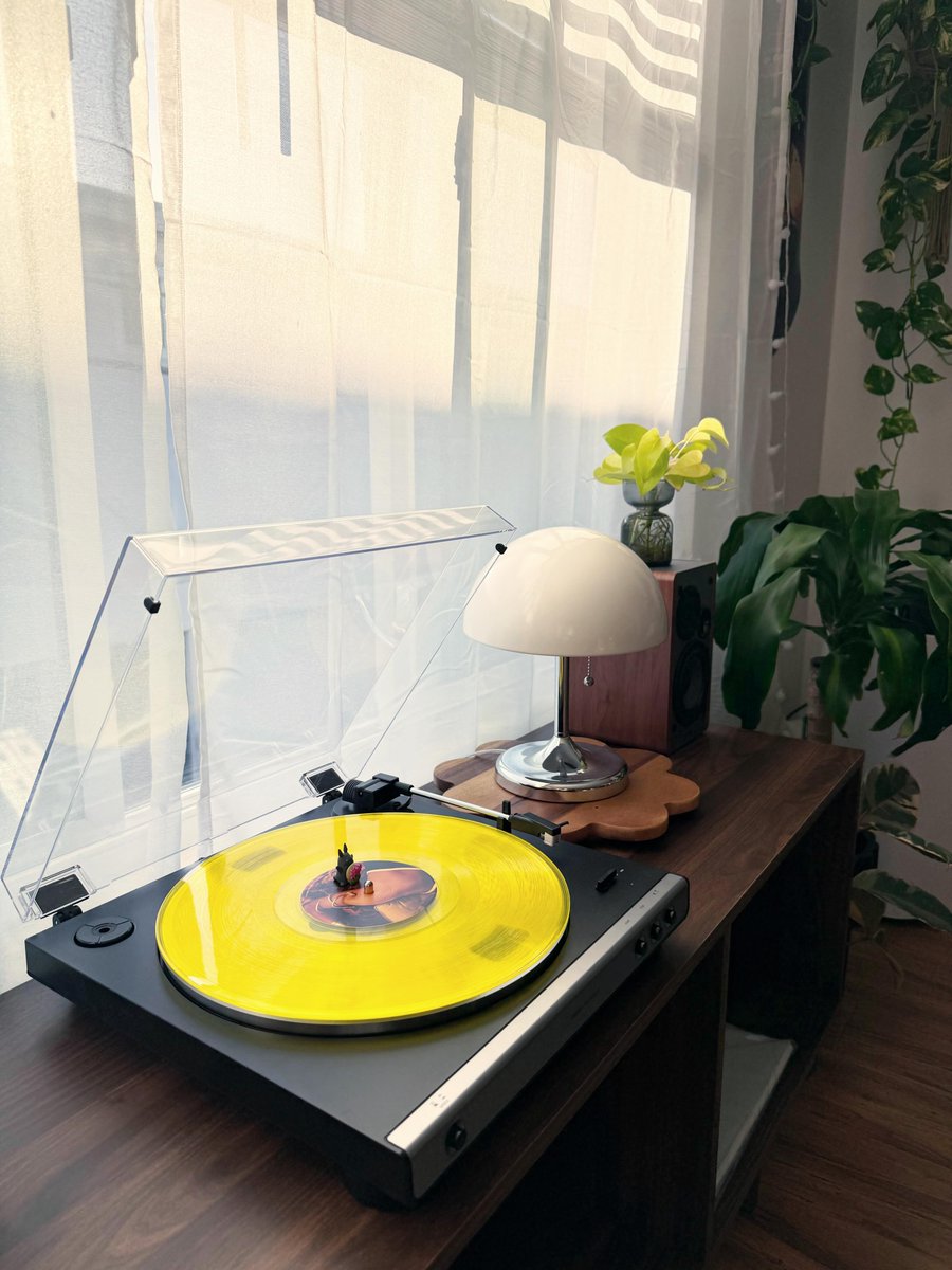 interiorsuckerr's tweet photo. This is how you bring your space to life https://t.co/TcKGcaYhSi