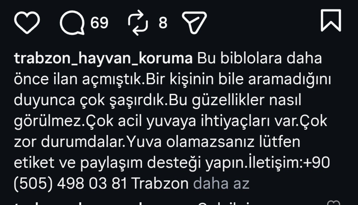 _comeongirl_'s tweet photo. Trabzondakiler için bu bebislere acil yuva gerek🥹🫶 ilgilenen olursa bu hesapla iletişime geçebilir mi🙏 https://t.co/yNrMIyCdxm