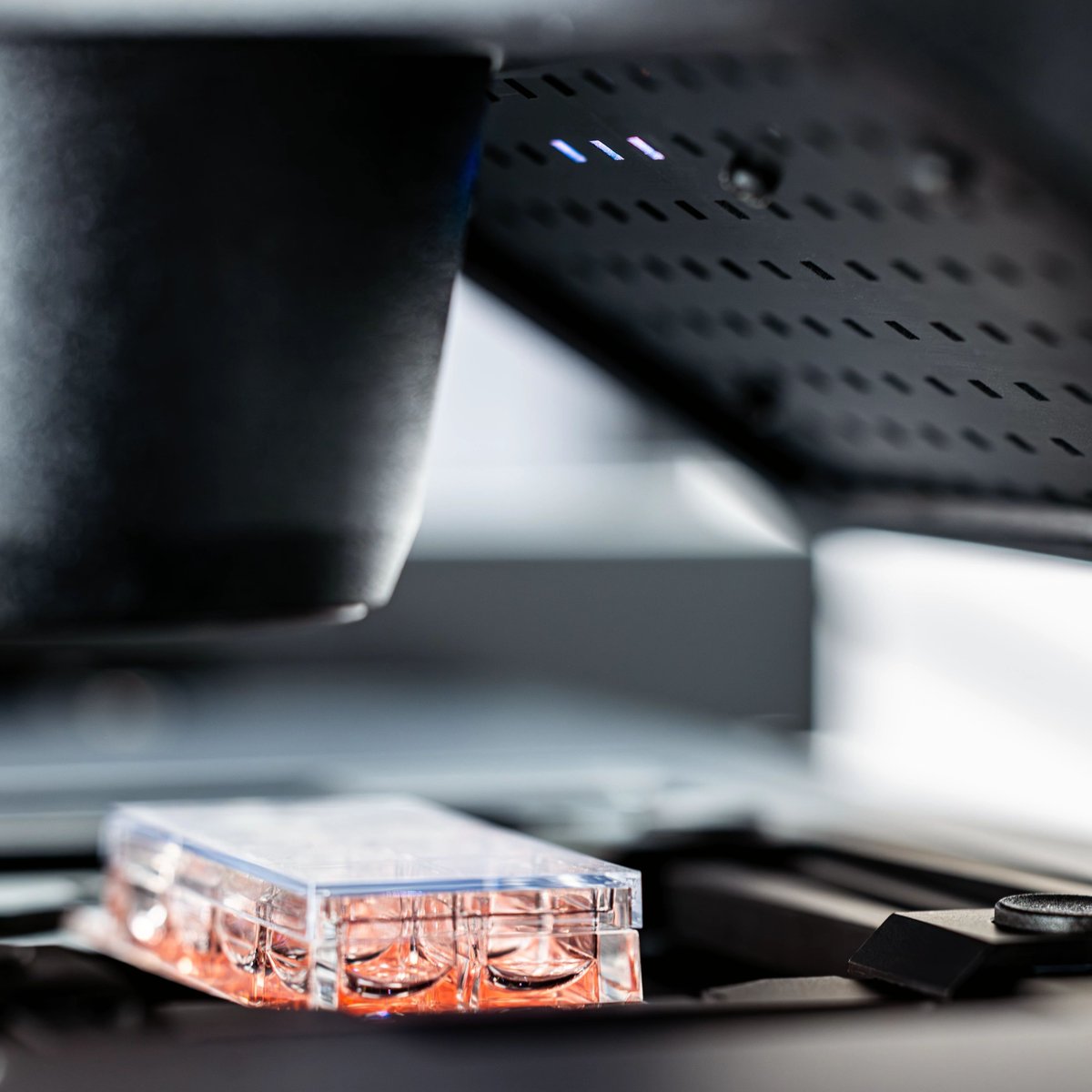 ZEISS_Group's tweet photo. What if finding your sample could be automated? 🔬 With the AI Sample Finder of ZEISS Axio Observer, the system automatically adjusts the focus and locates the sample region — reducing the time to image from minutes to just seconds. 

@zeiss_micro 

#ZEISS #Microscopy #Research https://t.co/BAPRsoigMB