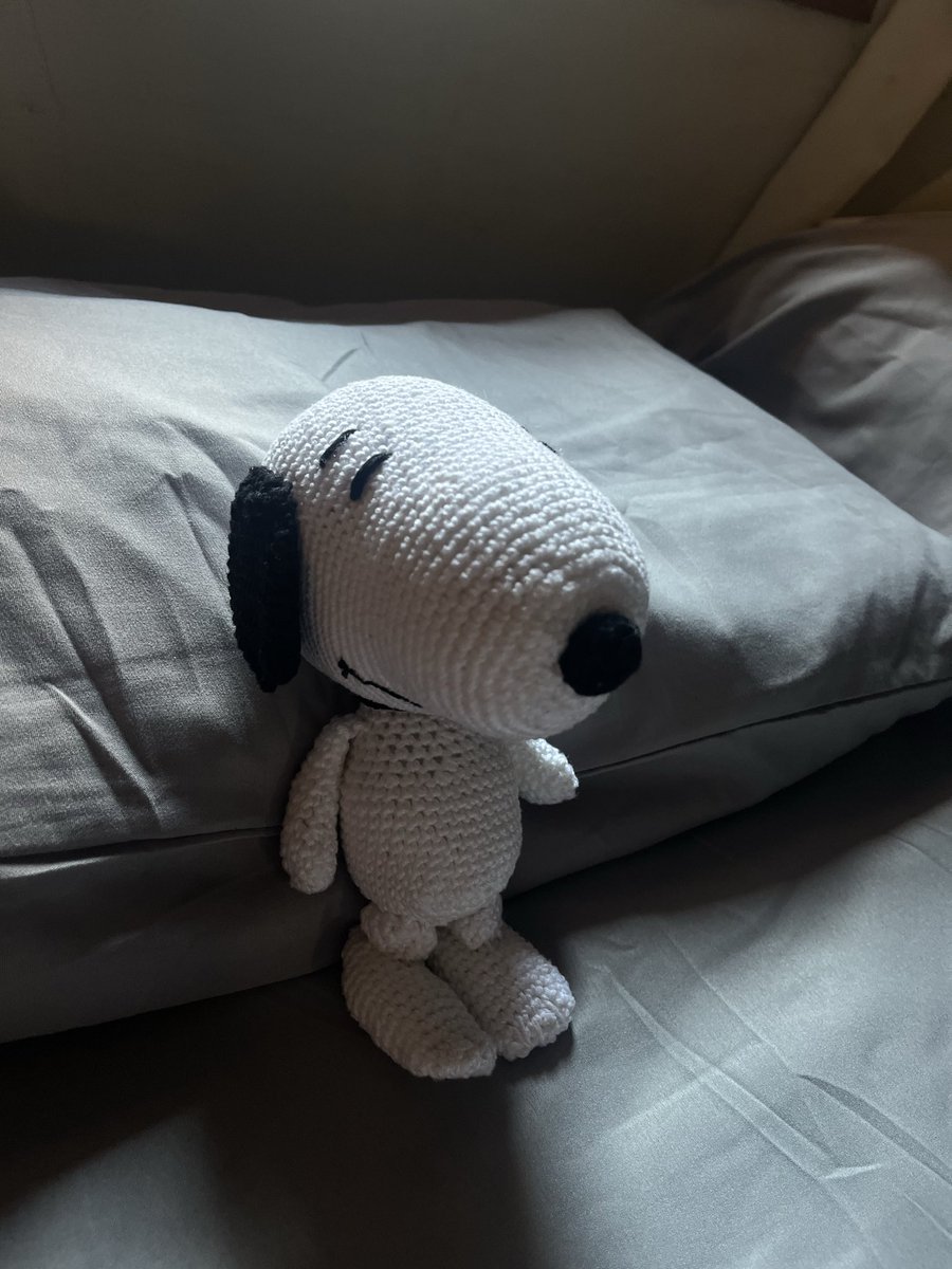 lwtaise's tweet photo. olhem meu snoopy!! https://t.co/nbEjICQ6lB