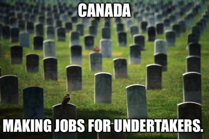 Humble_memeist's tweet photo. @thevivafrei @CBCNews https://t.co/vqdxCsZIrs