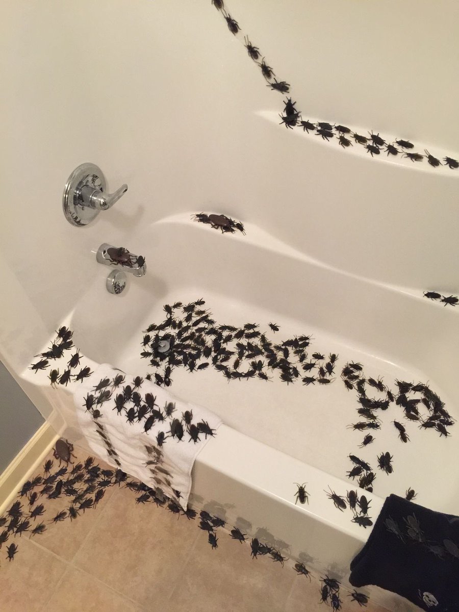 Spindlarp's tweet photo. I have begun their training!

First it is bathtime :3c https://t.co/MUuCd7Worf