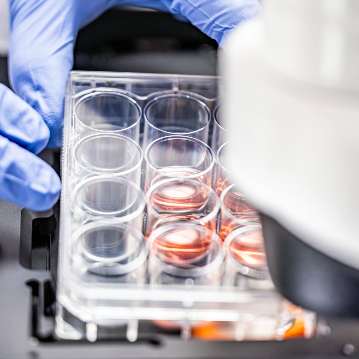 ZEISS_Group's tweet photo. What if finding your sample could be automated? 🔬 With the AI Sample Finder of ZEISS Axio Observer, the system automatically adjusts the focus and locates the sample region — reducing the time to image from minutes to just seconds. 

@zeiss_micro 

#ZEISS #Microscopy #Research https://t.co/BAPRsoigMB
