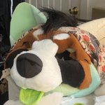 Photo by 𝐻𝒜𝒱𝐼𝒦 🔜 eating drywall (@pasteldogteeth)