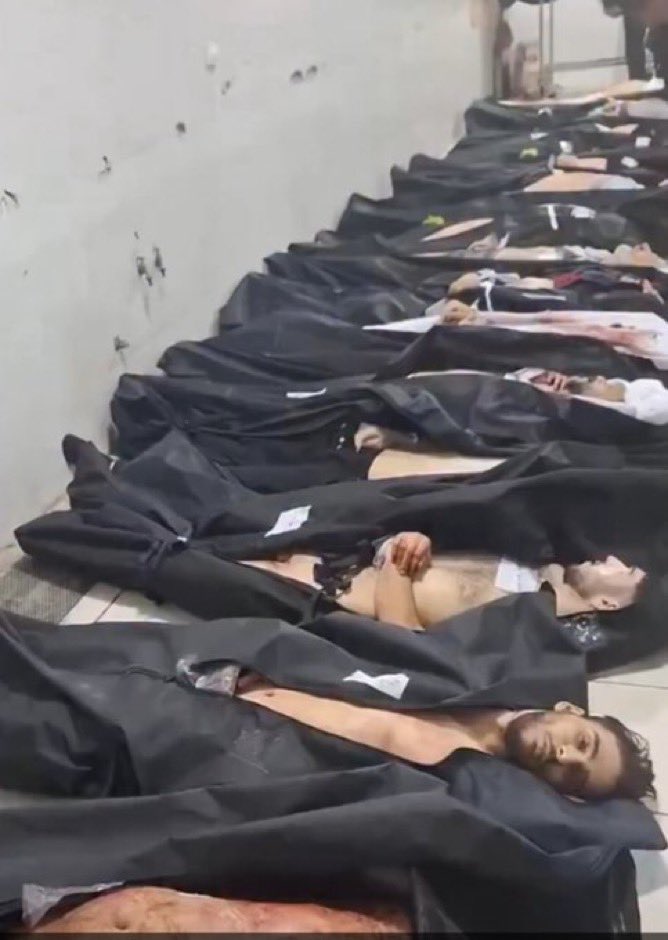 Savakzadeh's tweet photo. Disgusting and shameless! 

Just so you know, you are insulting and pissing on every Iranian, and we will not forget. 

You could have asked him why he helped massacre over 100,000 innocent Iranian women, men, and children. 

You could have  asked him not to hang Ali Zarei, whom they prepared last night to take his final breath before being hanged from crane. 

Instead you stupidly and amateurishly chose to further legitimize these terrorists.