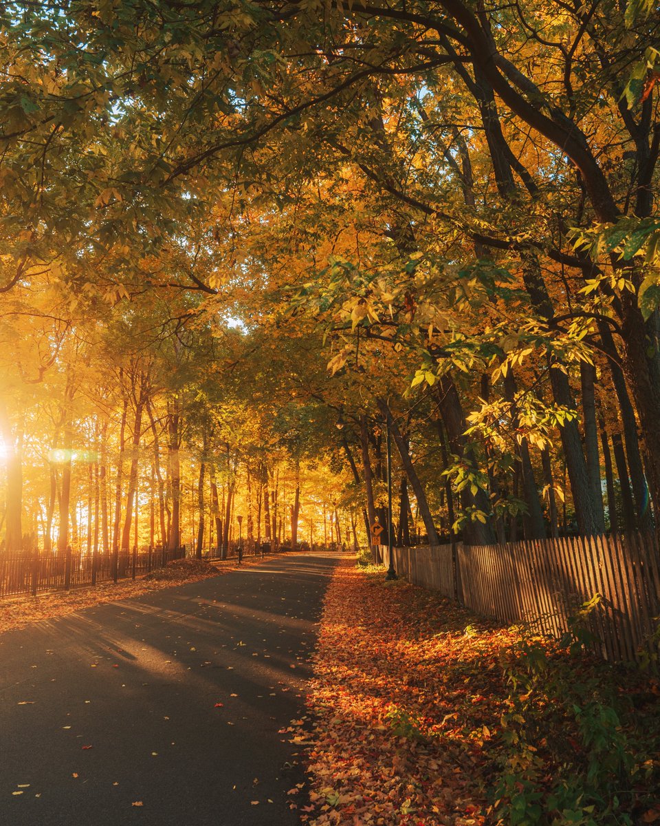_thecolorfulkid's tweet photo. The first day of fall https://t.co/xF5gLLKRft