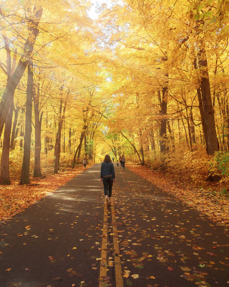 _thecolorfulkid's tweet photo. The first day of fall https://t.co/xF5gLLKRft