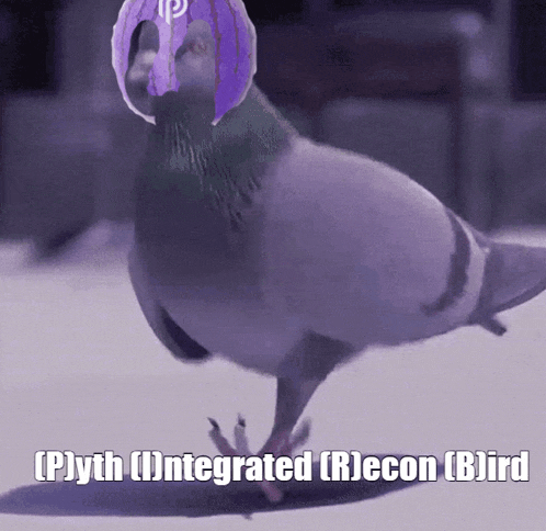 thequantdev1223's tweet photo. i just found pyth mascot his name is prib, we never had good PYTH runner, and this is the right time!

https://t.co/kMMh56X6Iu
https://t.co/jBzsceVygI https://t.co/WQdkpQTdVm