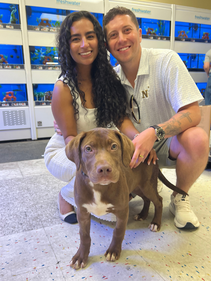 15outof10's tweet photo. This is Cason. He and his sister, Caylee, arrived at the rescue with parvovirus. Thanks to you, we were able to cover the intensive care they needed to survive. We’re thrilled to report that these two little warriors beat parvo, made full recoveries, and are now adopted ❤️‍🩹 https://t.co/JuzsNsNizN