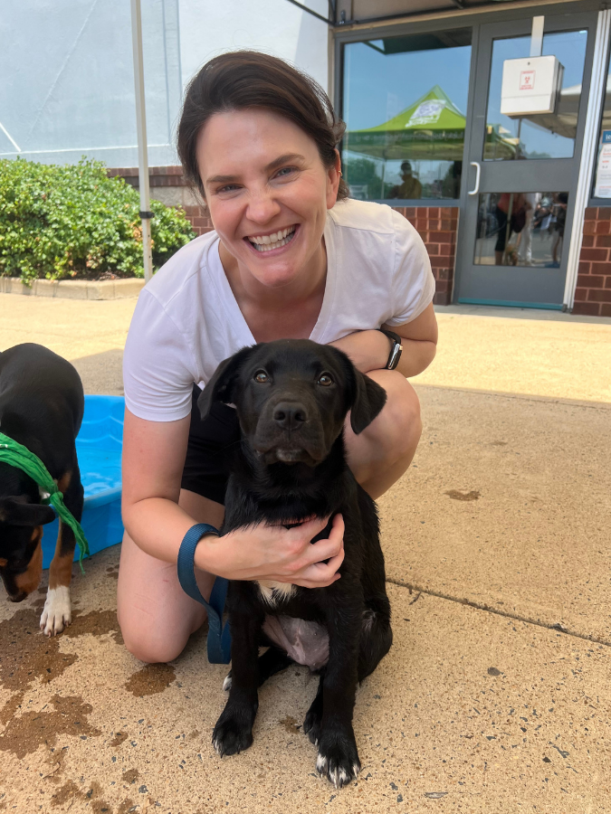 15outof10's tweet photo. This is Cason. He and his sister, Caylee, arrived at the rescue with parvovirus. Thanks to you, we were able to cover the intensive care they needed to survive. We’re thrilled to report that these two little warriors beat parvo, made full recoveries, and are now adopted ❤️‍🩹 https://t.co/JuzsNsNizN