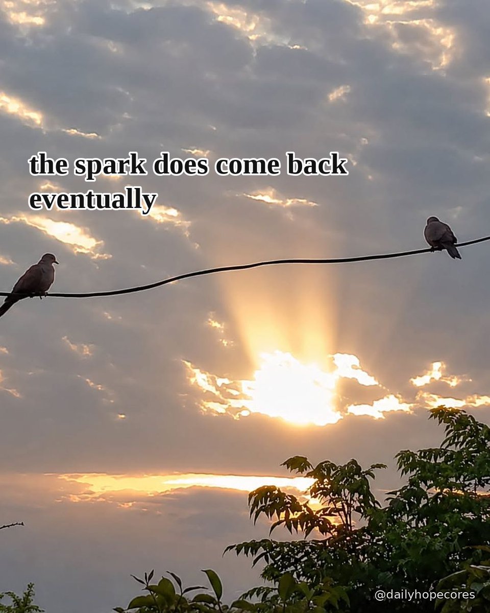 dailyhopecores's tweet photo. https://t.co/LfHQaVH8S4