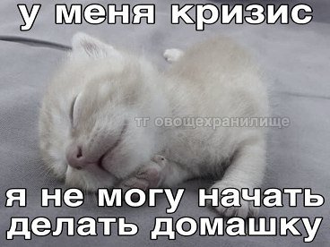 marsiuze's tweet photo. а можно кто нибудь за меня все сделает, да?? а я вам спасиба. завтра еще и расписание ужасное, эххх https://t.co/ZVflDsDohh