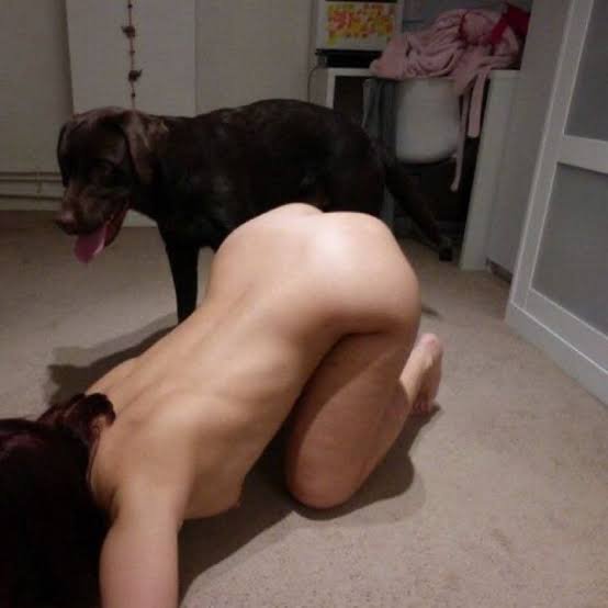 cannibalcudu's tweet photo. Cooking up something for you guys 🥵🔥🔥https://t.co/jstptRaWex
#k9 #knotty #k9knotty #dogknotting #knotting #taboo #zoo #zoophilia #k9girl #lgbtq #fyp https://t.co/F8LBeli9pa