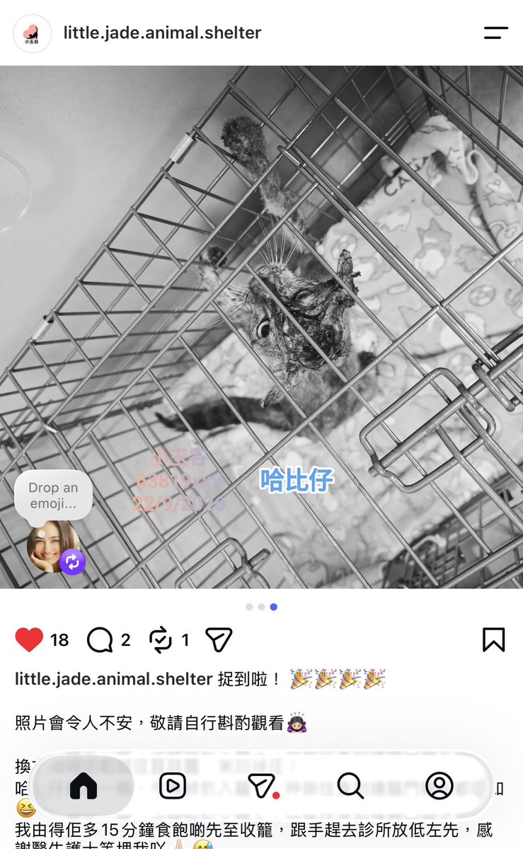 ChinaSiwon's tweet photo. 🐱個頭爛成咁。。。😢😢😢
https://t.co/yAFwL9dL1d https://t.co/nlo5gmHrAV