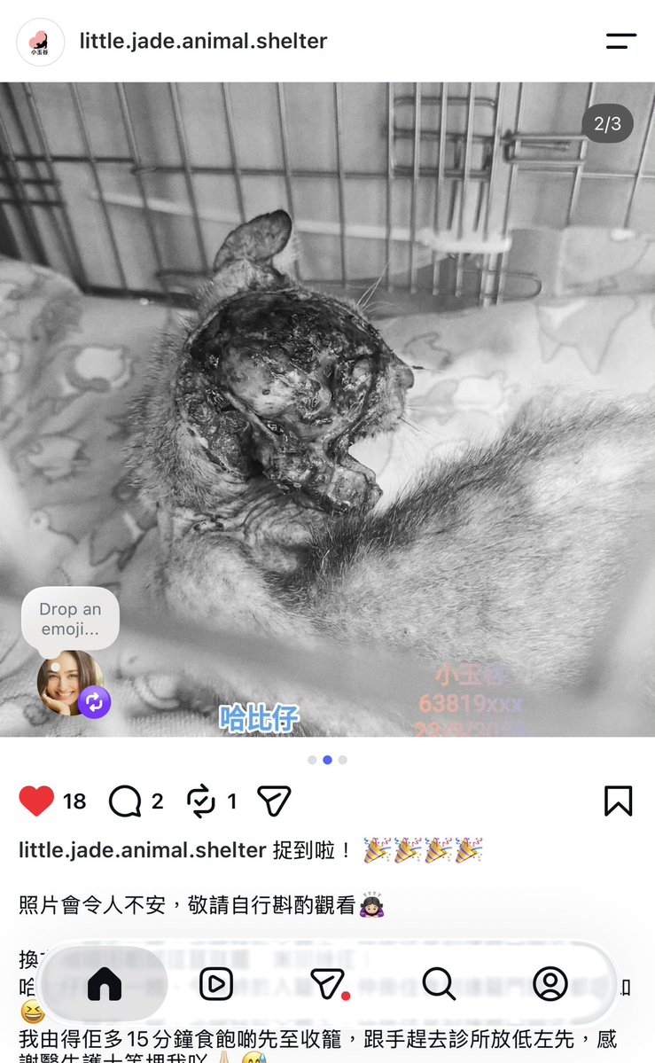 ChinaSiwon's tweet photo. 🐱個頭爛成咁。。。😢😢😢
https://t.co/yAFwL9dL1d https://t.co/nlo5gmHrAV